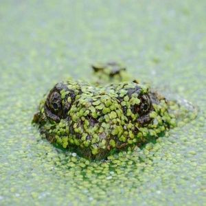 Meet your Posher, Cathy